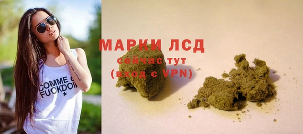 индика Медногорск