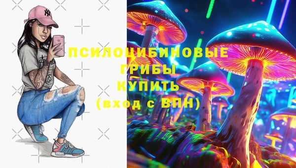 мяу мяу мука Медвежьегорск