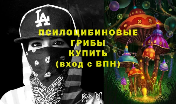 индика Михайловск