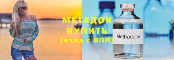 индика Михайловск