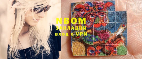 индика Михайловск