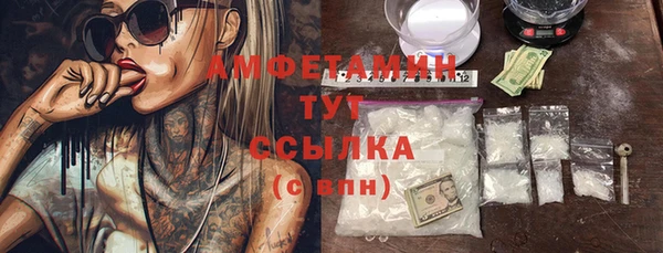 индика Медногорск