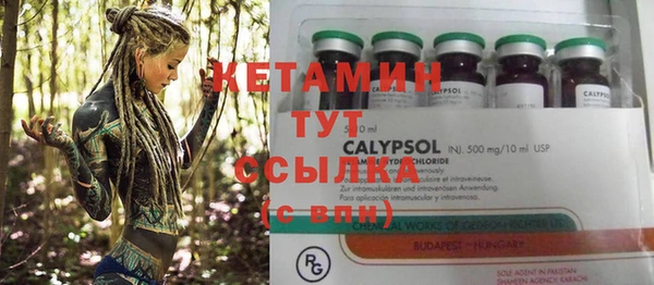 индика Михайловск