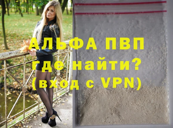 индика Медногорск
