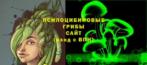 индика Медногорск