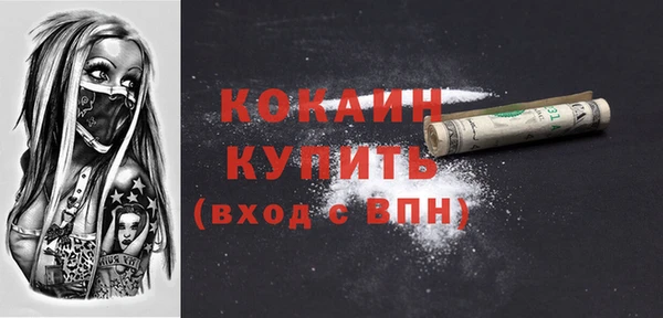 индика Медногорск