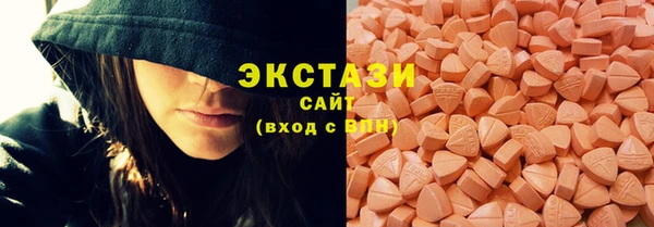 индика Медногорск