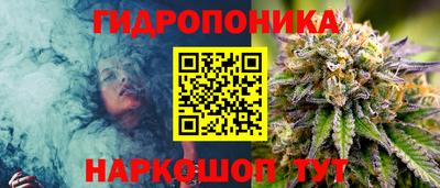 гашик Гай