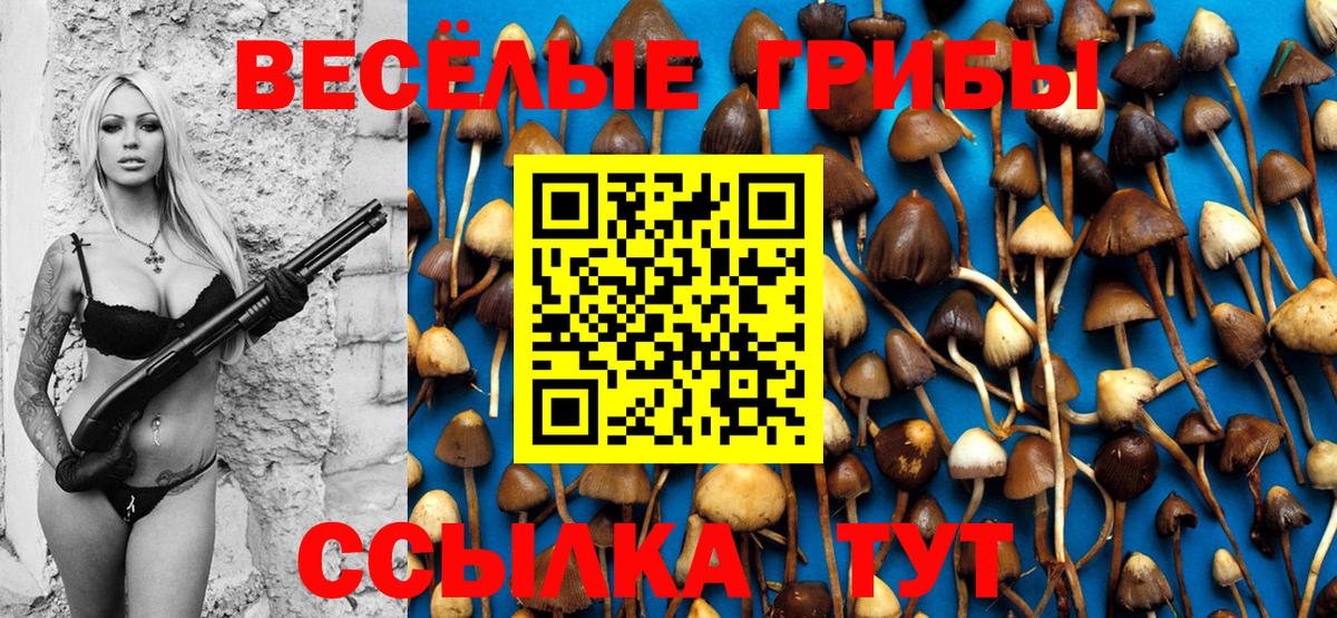 Псилоцибиновые грибы Cubensis  Вход с VPN  Алексин 