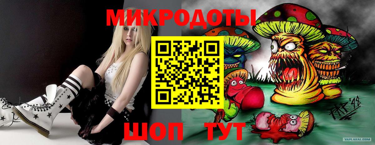 наркошоп  Алексин  Псилоцибиновые грибы MAGIC MUSHROOMS 