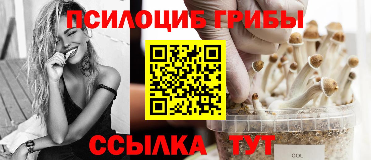 Галлюциногенные грибы прущие грибы Алексин